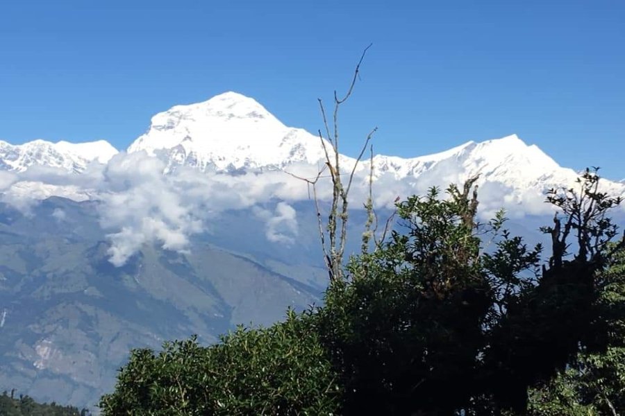 Annapurna Base Camp Trek