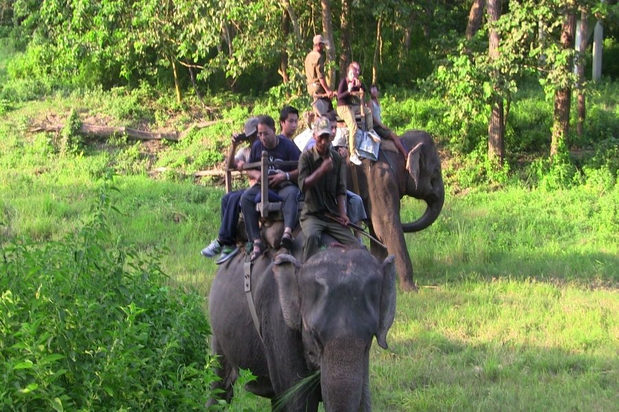 Chitwan National Park Package